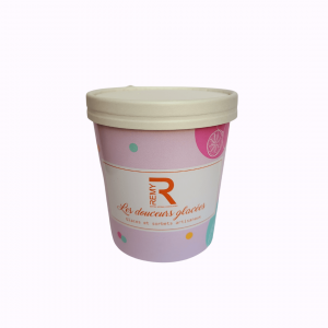 glace et sorbets artisanaux remy romuald maitre artisan chocolatier 1/2 litre ou 360g