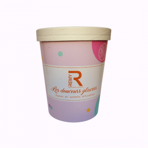 glaces et sorbets artisanaux remy romuald maitre artisan chocolatier 1 litre ou 760g