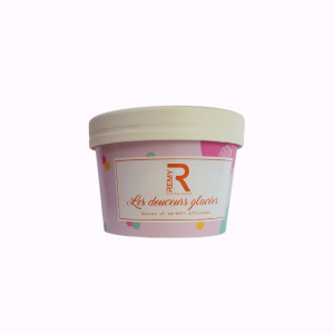 glace et sorbets artisanaux remy romuald maitre artisan chocolatier 1/4 litre ou 220g