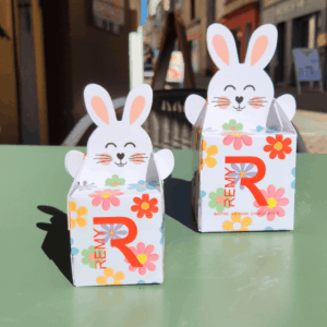 Boites "lapins" de fritures